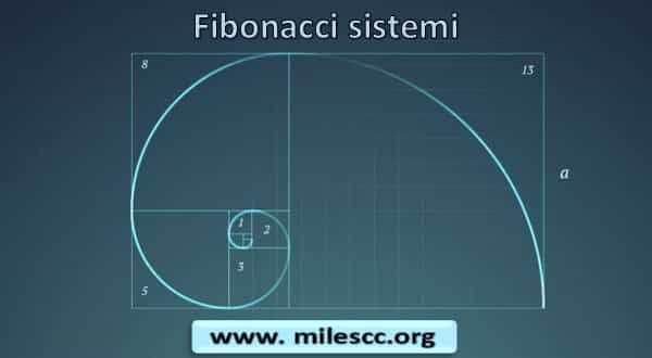 Fibonacci sistemi