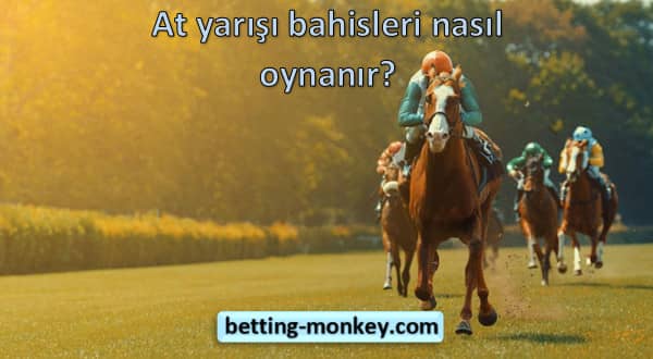 At yarışı bahisleri nasıl oynanır